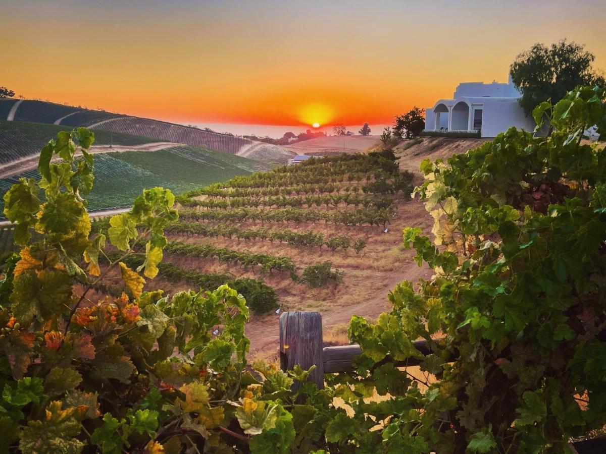 Sirena Vineyard Resort Paso Robles Ngoại thất bức ảnh